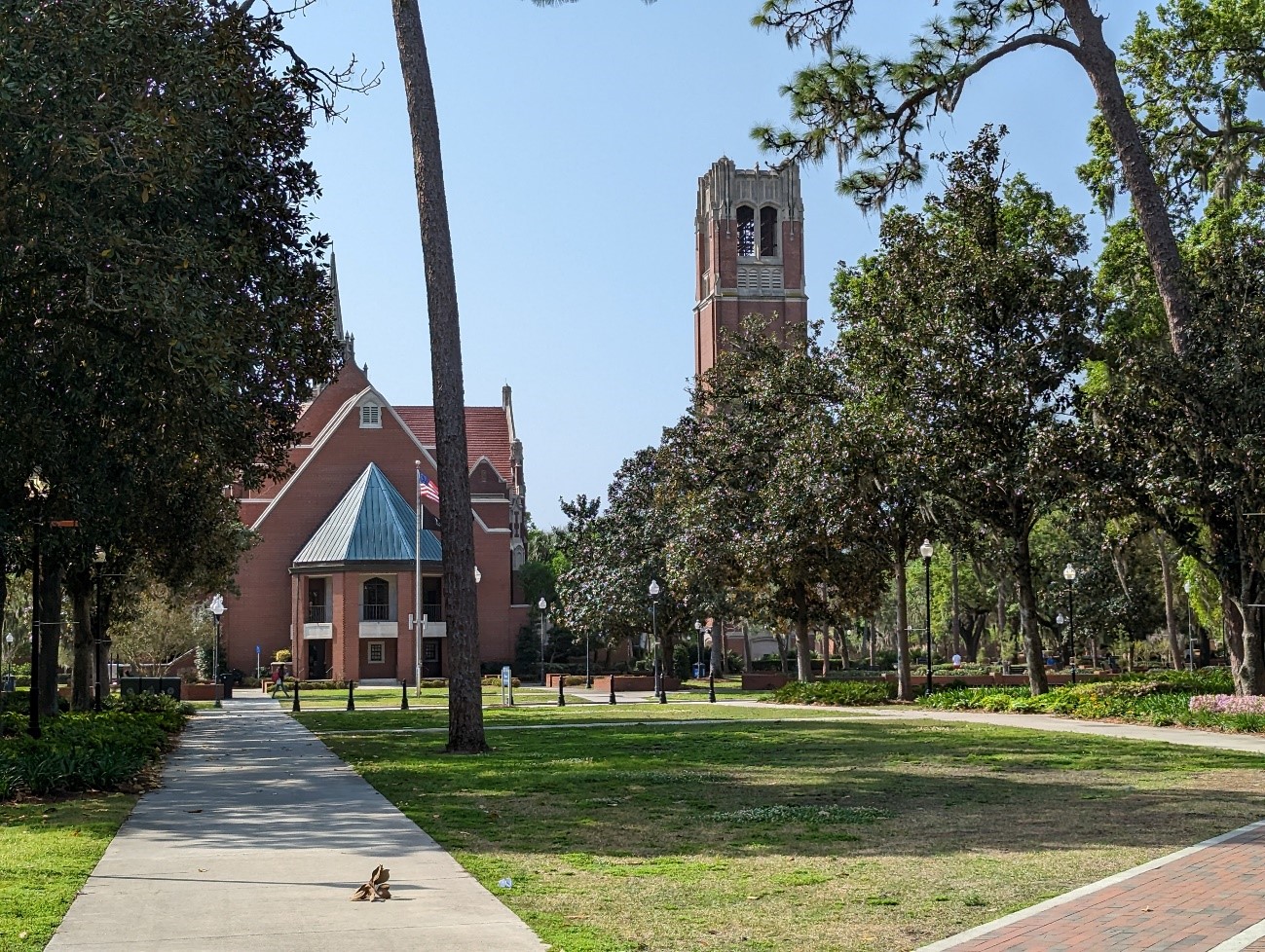 フロリダ大学（1）