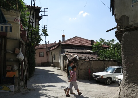 pannno.JPG