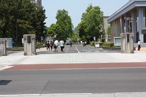 大学正門とイチョウ並木
